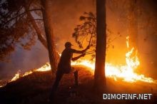 ارتفاع درجات الحرارة في الدول الأوروبية يزيد ويضاعف الحرائق في الغابات 