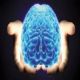 أخيرا.. علماء يكتشفون سر المنطقة الغامضة في المخ البشري